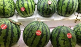 吃瓜 今日吃瓜51,揭秘娱乐圈最新热点事件